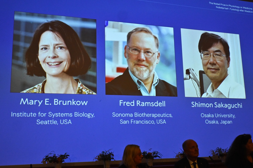 A screen showing the photos of Mary E Brunkow, Fred Ramsdell and Shimon Sakaguchi, who on Monday were awarded the Nobel Prize in Medicine or Physiology at the Nobel Assembly of the Karolinska Institutet in Stockholm, Sweden.
